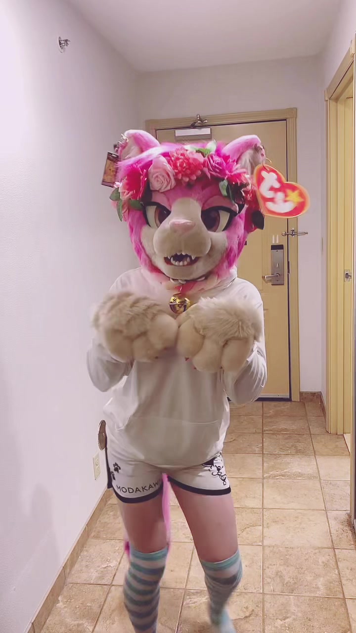 @AGayPinkCat