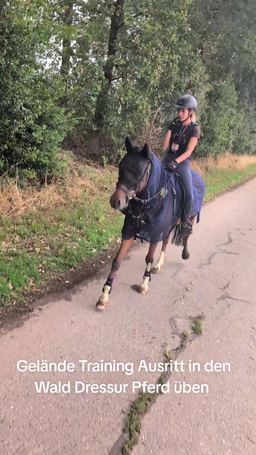 @Steffis_horse_world