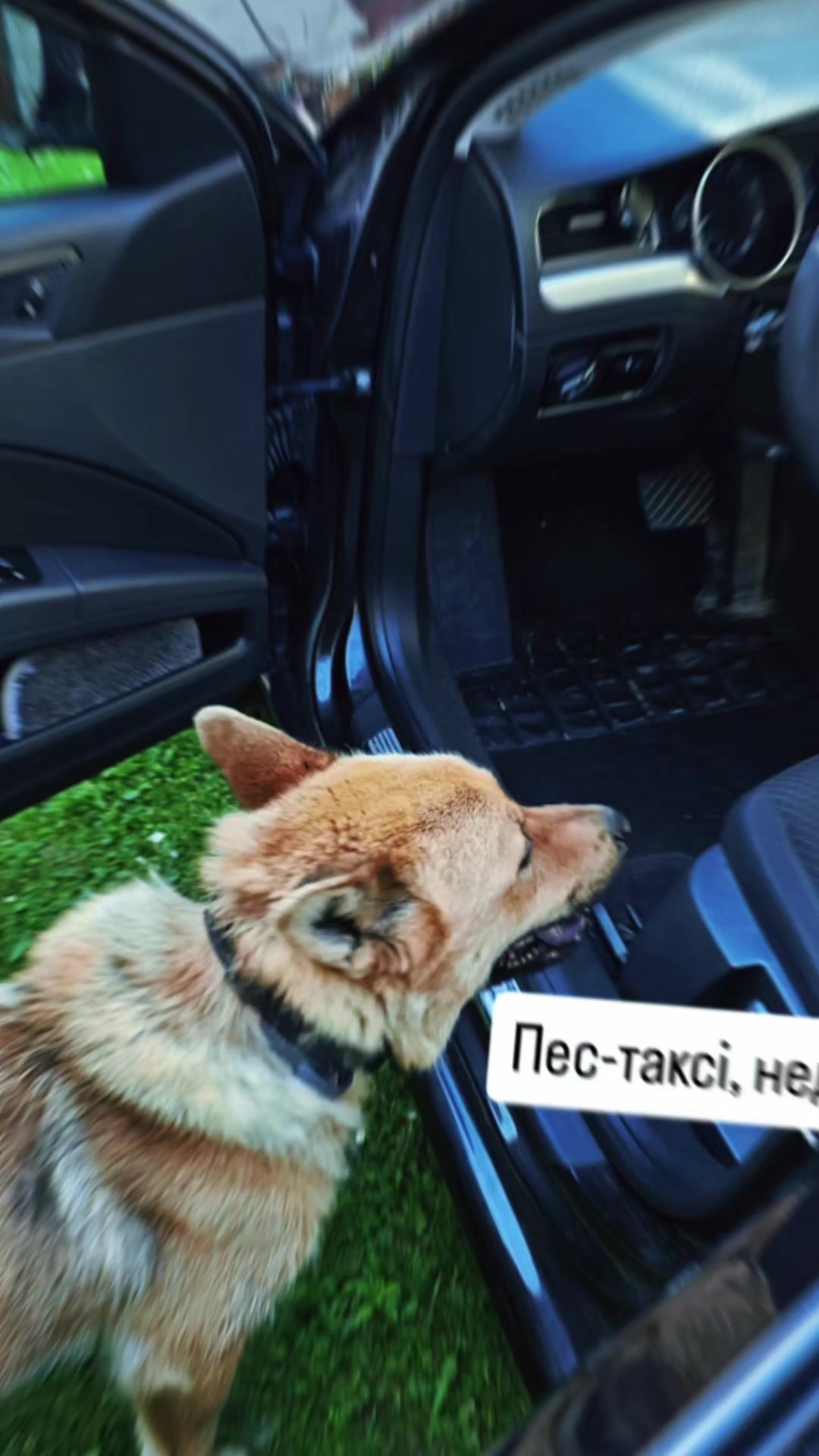 @Pes_Levko