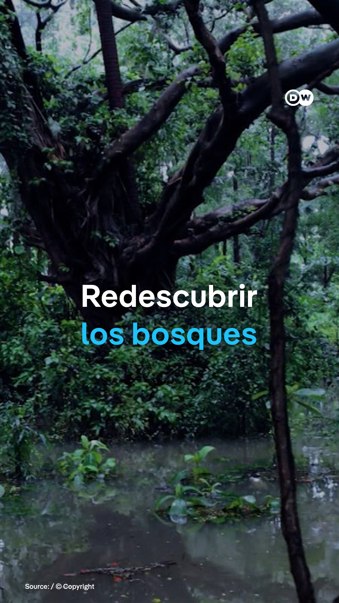 @DW Español