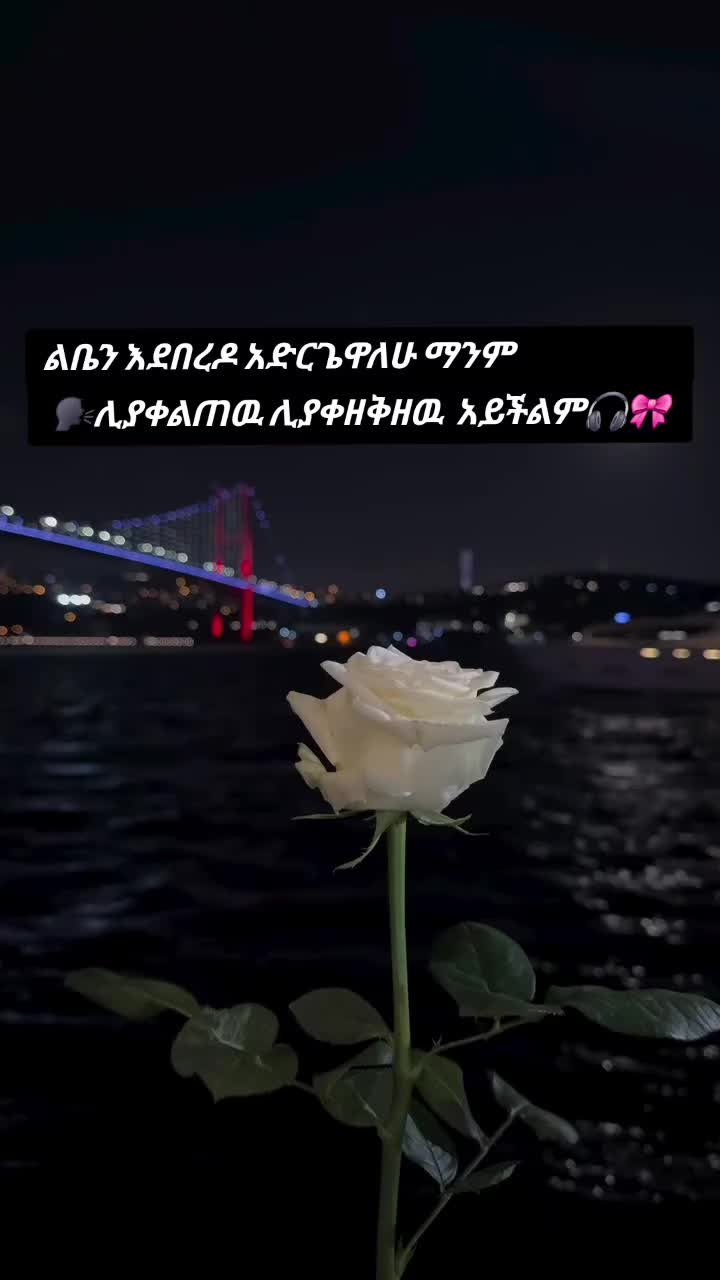 @โฅโ๐ ๐แแดโโแแง๐โแจแแแฏ๐น๐ทโ๐ฆ