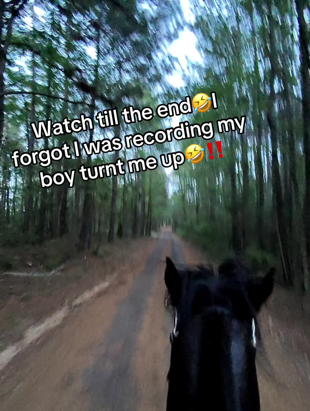 @ELI;)