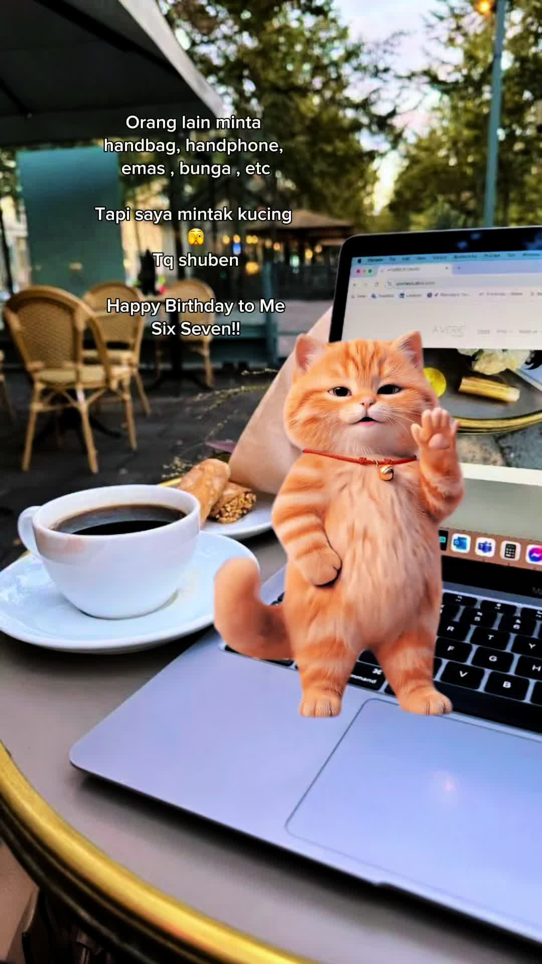@Eibu Ainee | Cat Mom