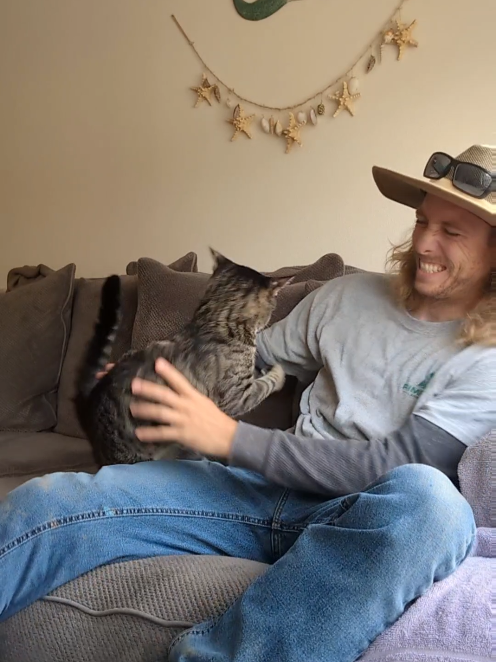 @Rainy the Cat