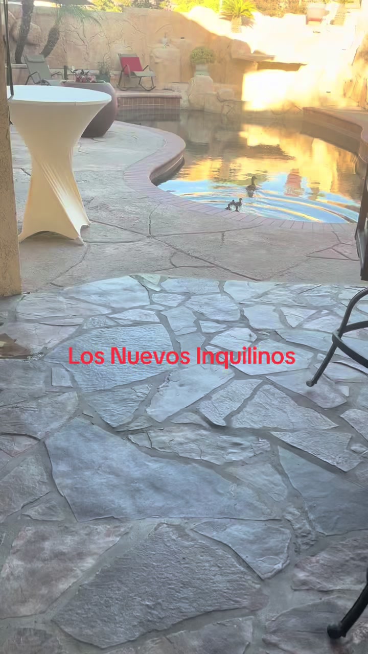 @Irene Santos
