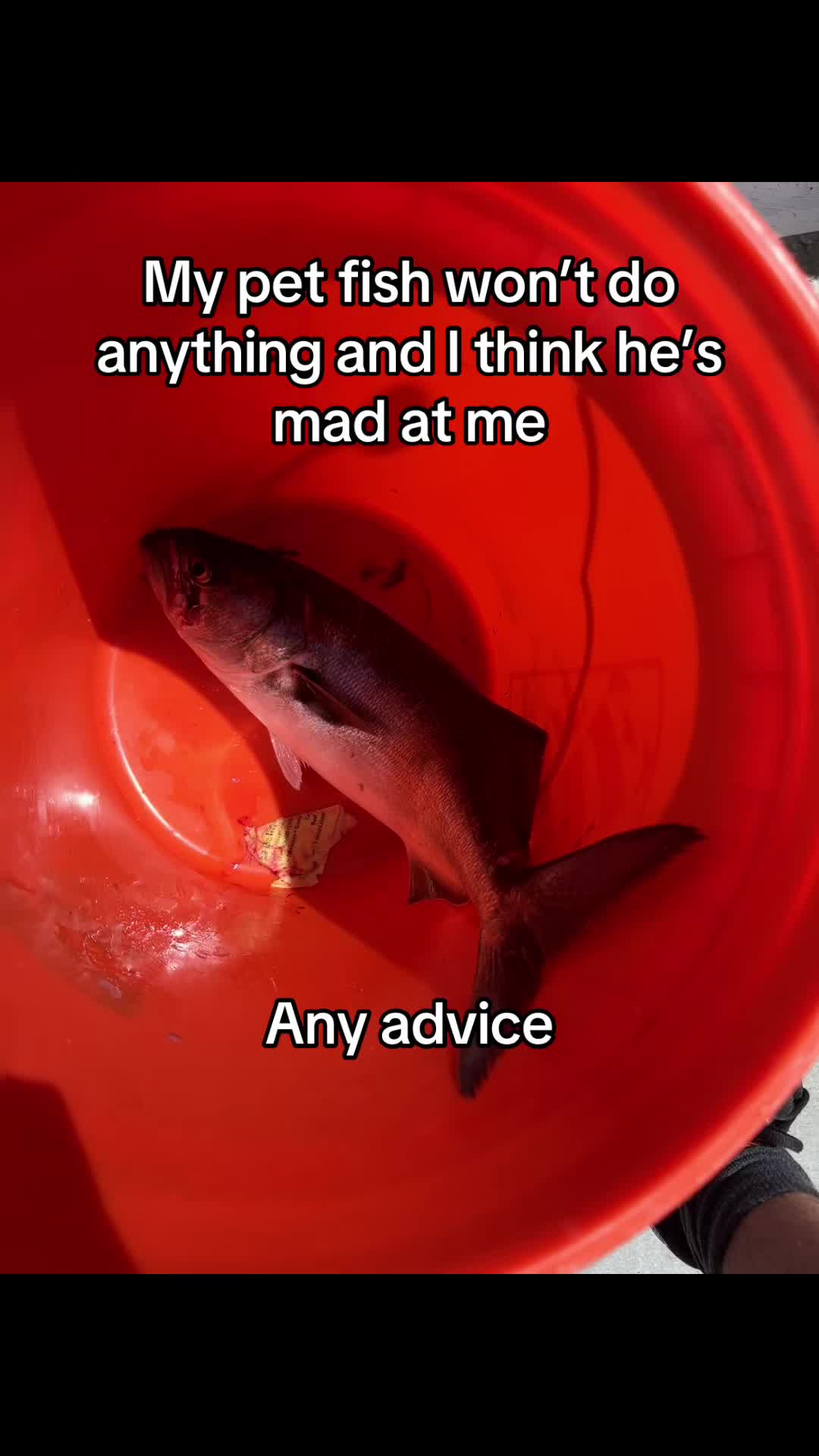 @Reel Team Six