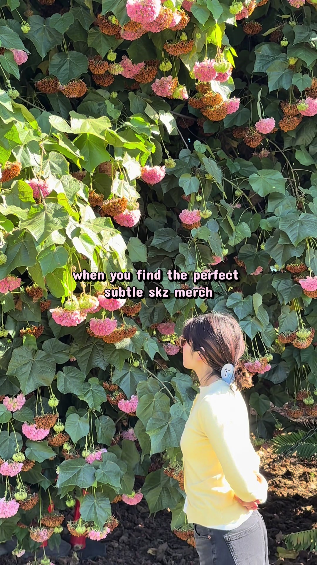 @kc ૮ &ndash; ﻌ&ndash;ა