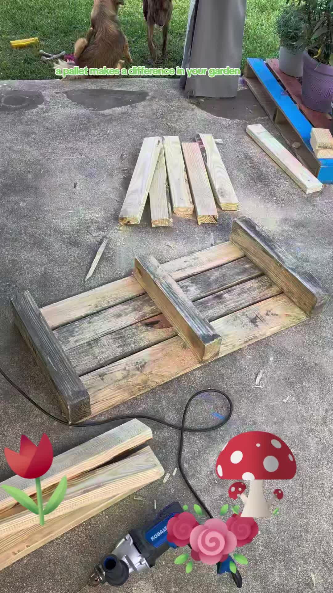 @Jplay