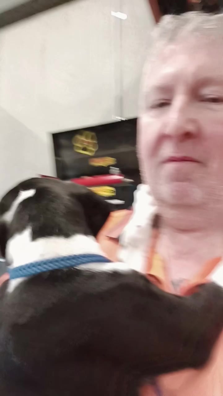 @Canine Conditioning