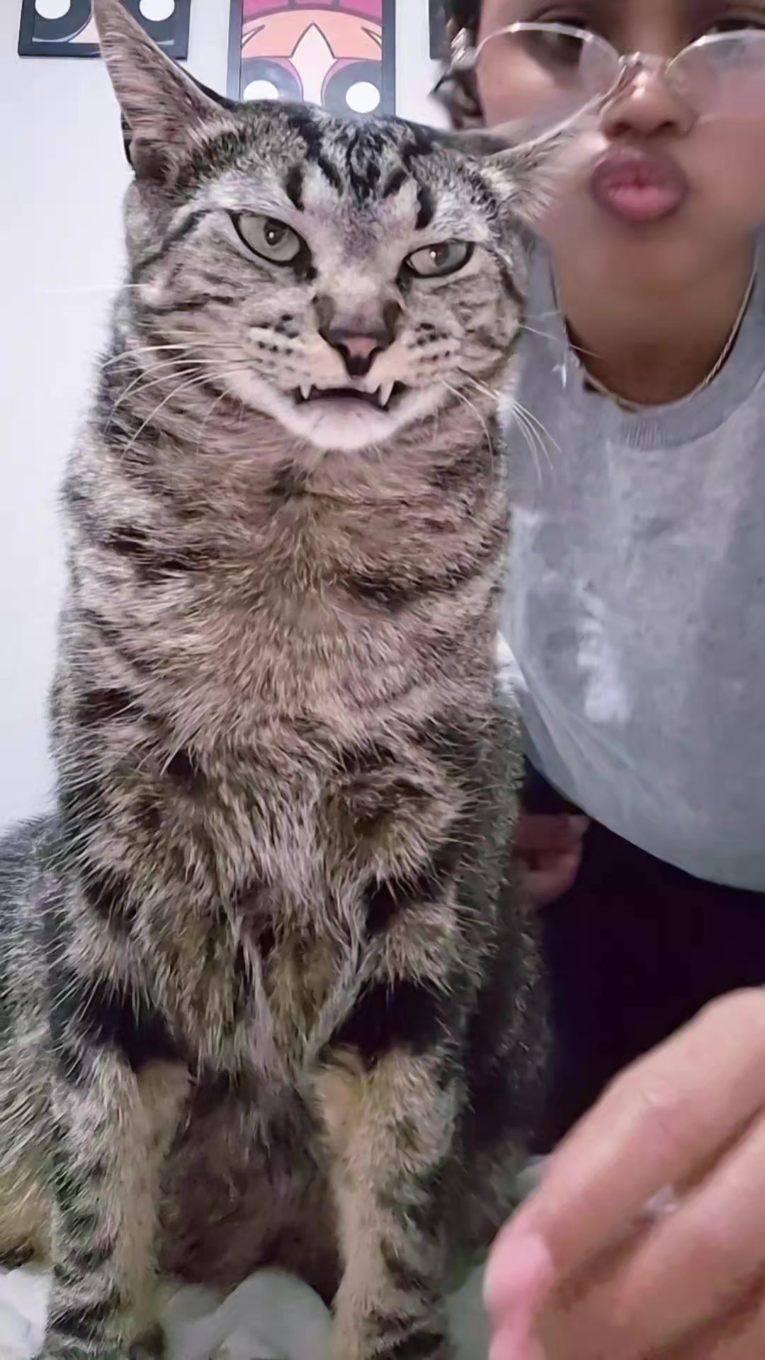 @Mushu