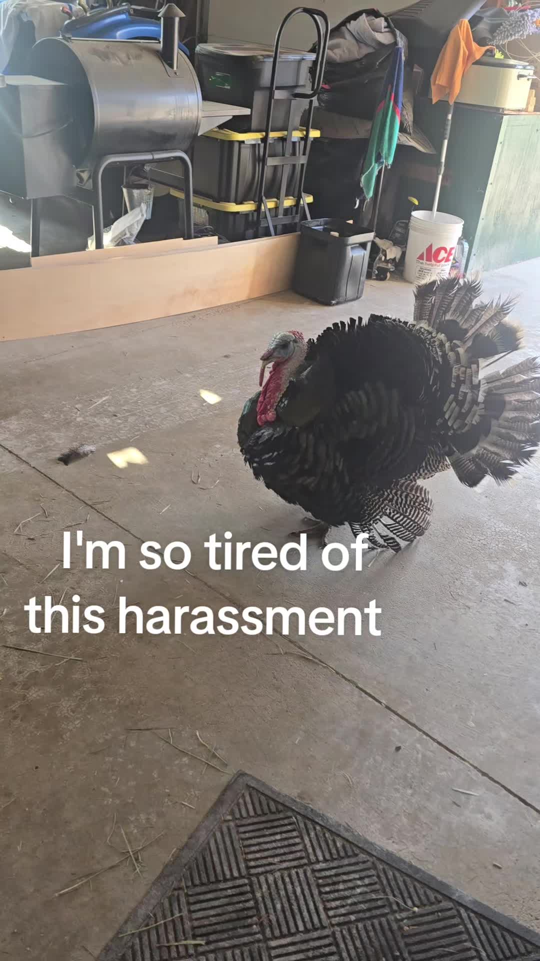 @ChelseyMartin