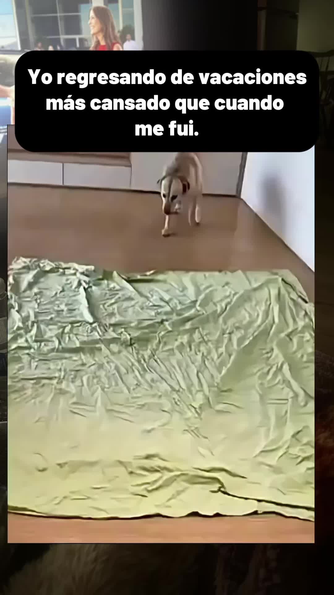 @lolischula