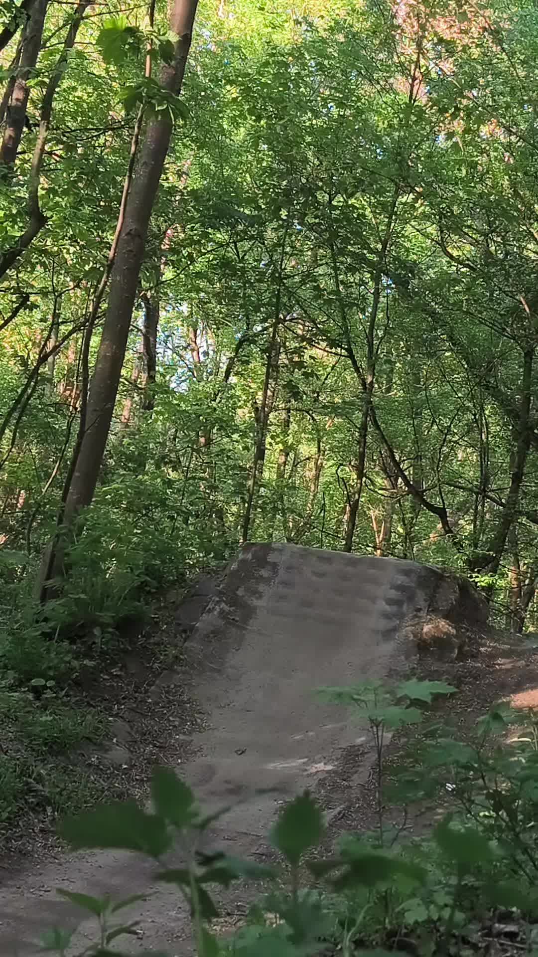 @LX_On_MTB