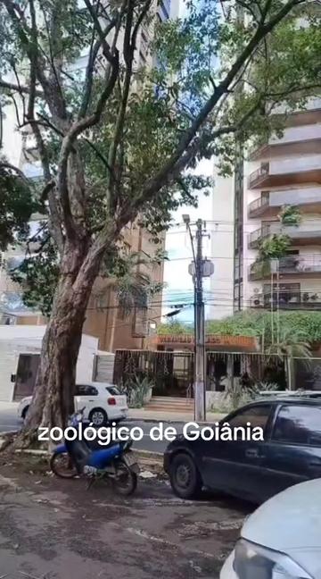 @Marielly embaixadora 🎸🩷