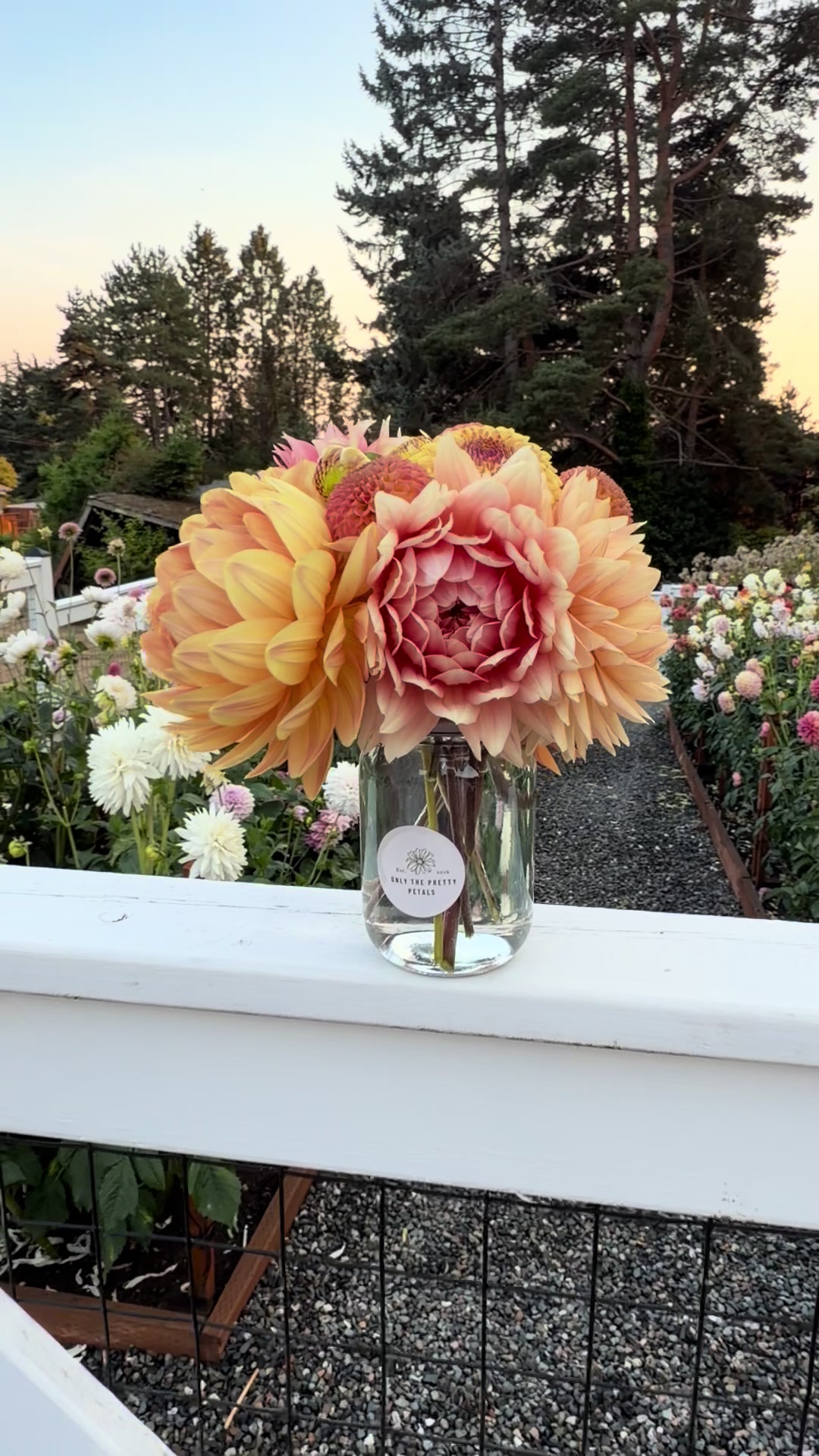 @Only The Pretty Petals