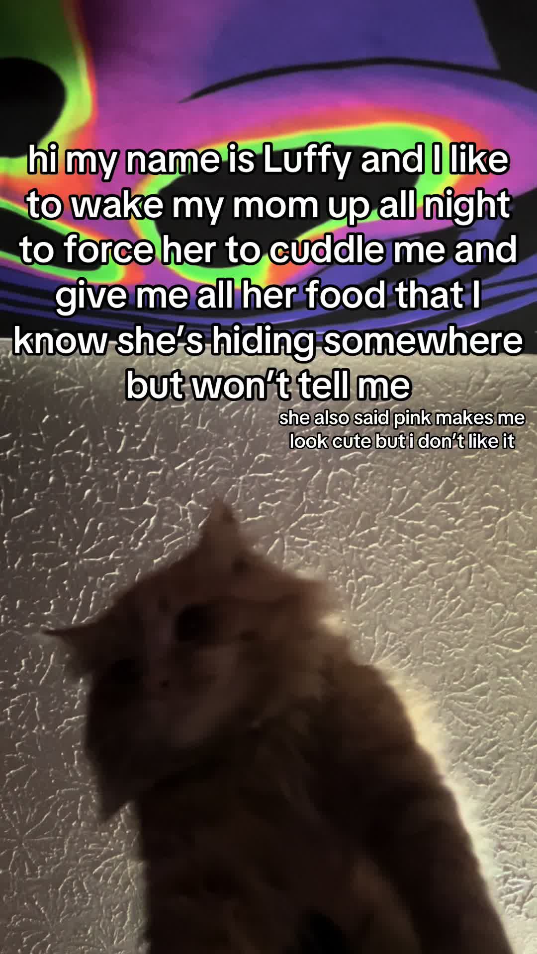 @kat