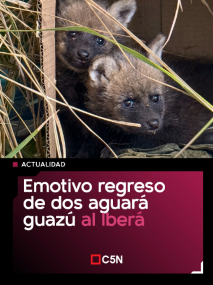 @c5n