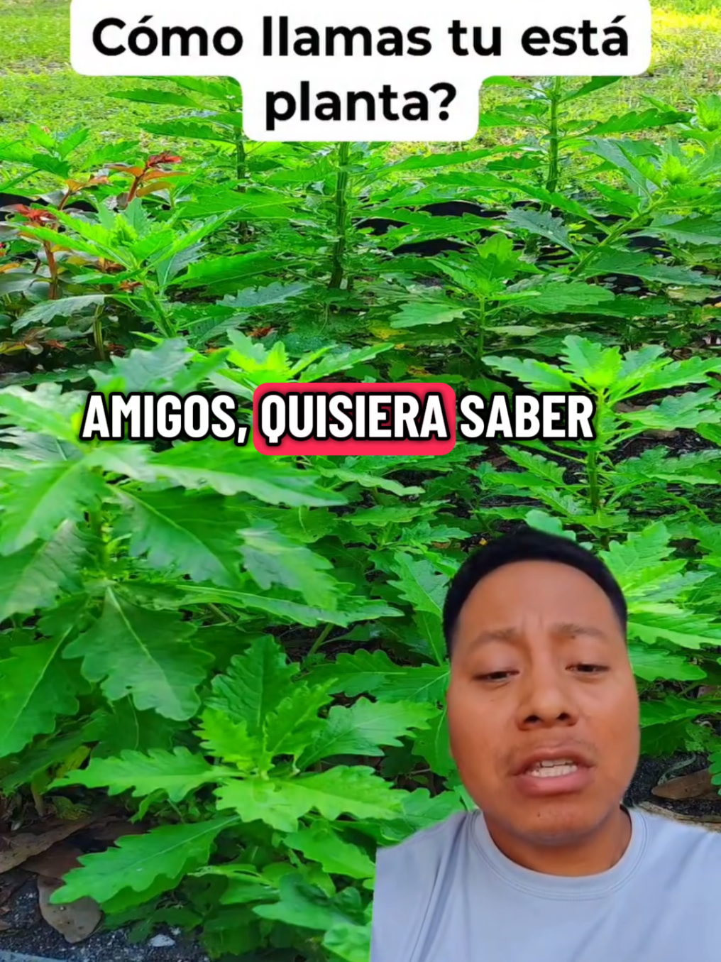 @JerBer