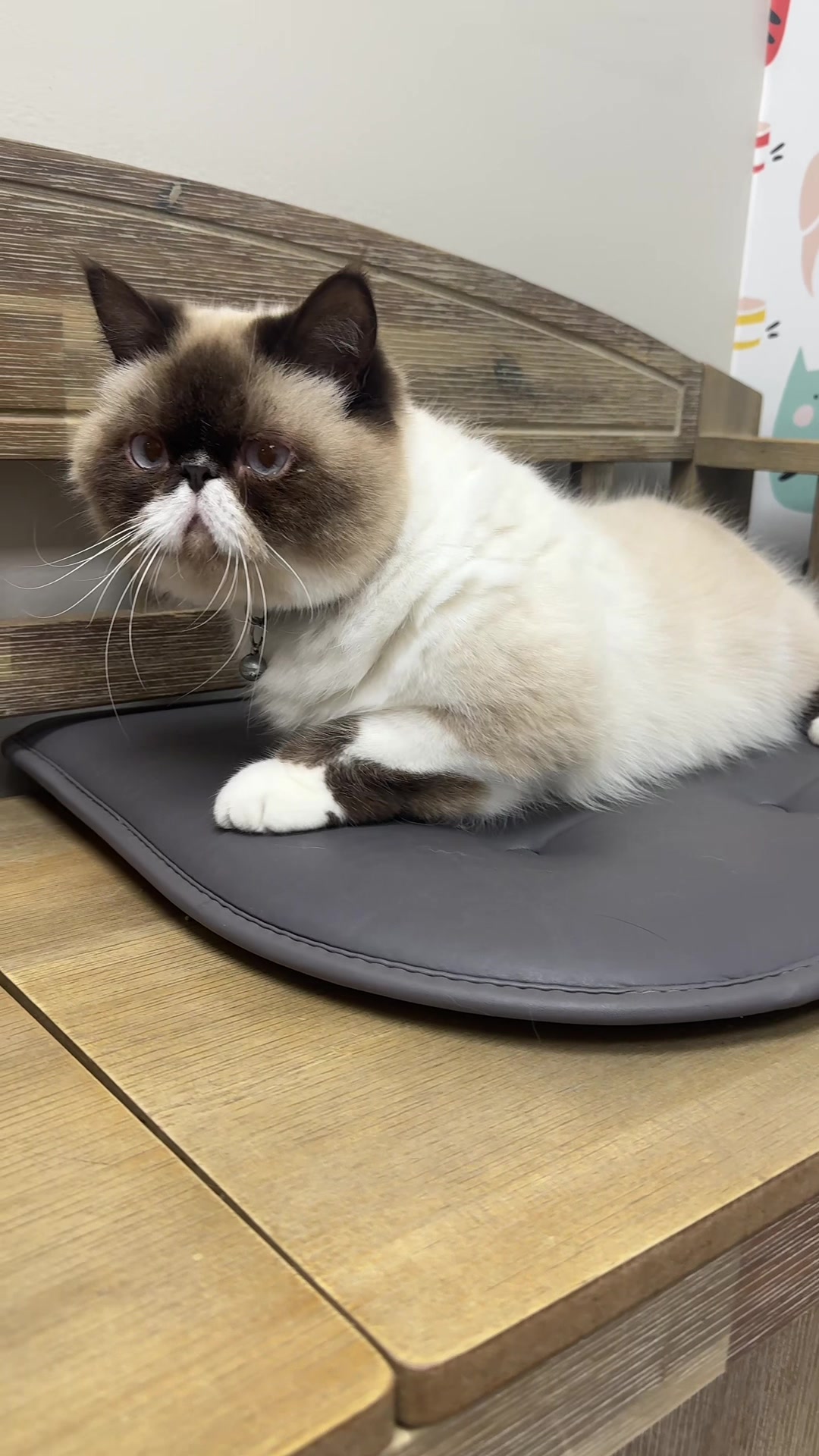 @Snodgrass Vet