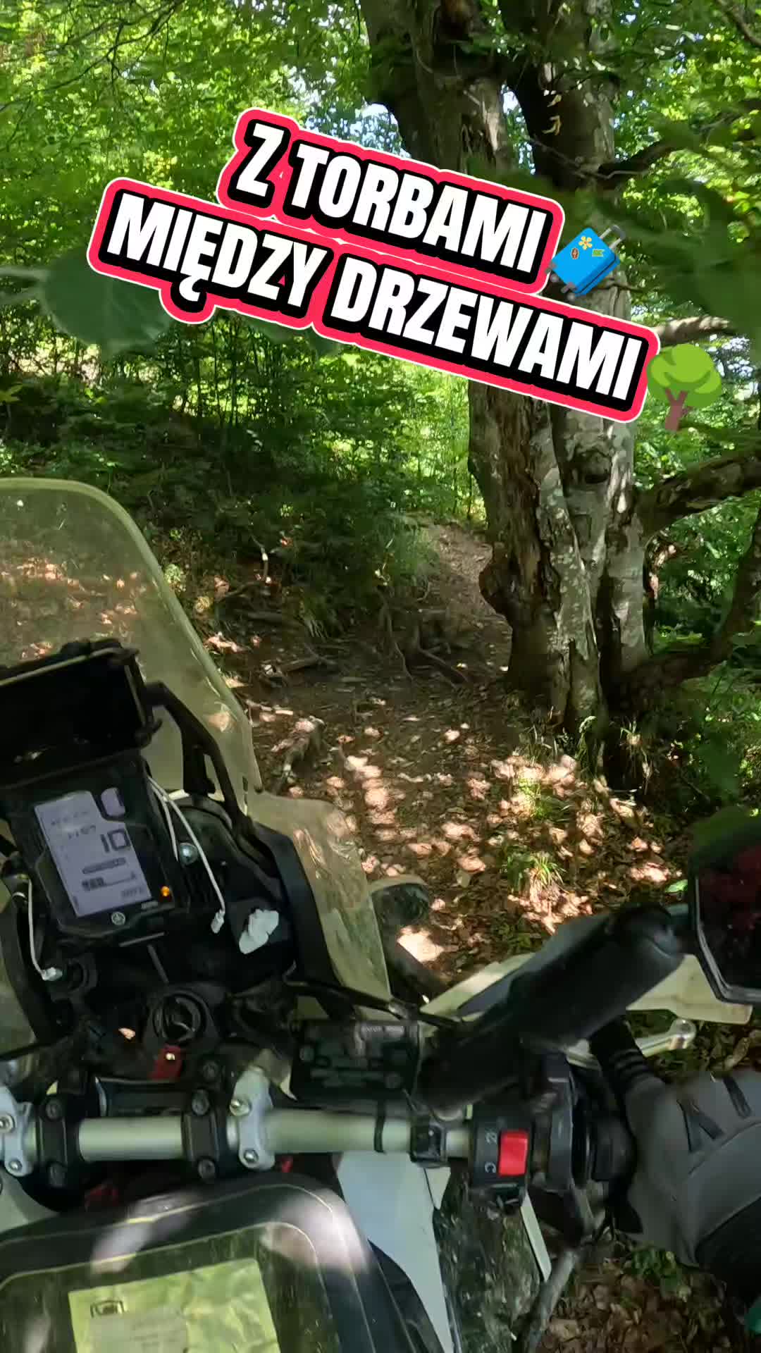 @paweljarema51