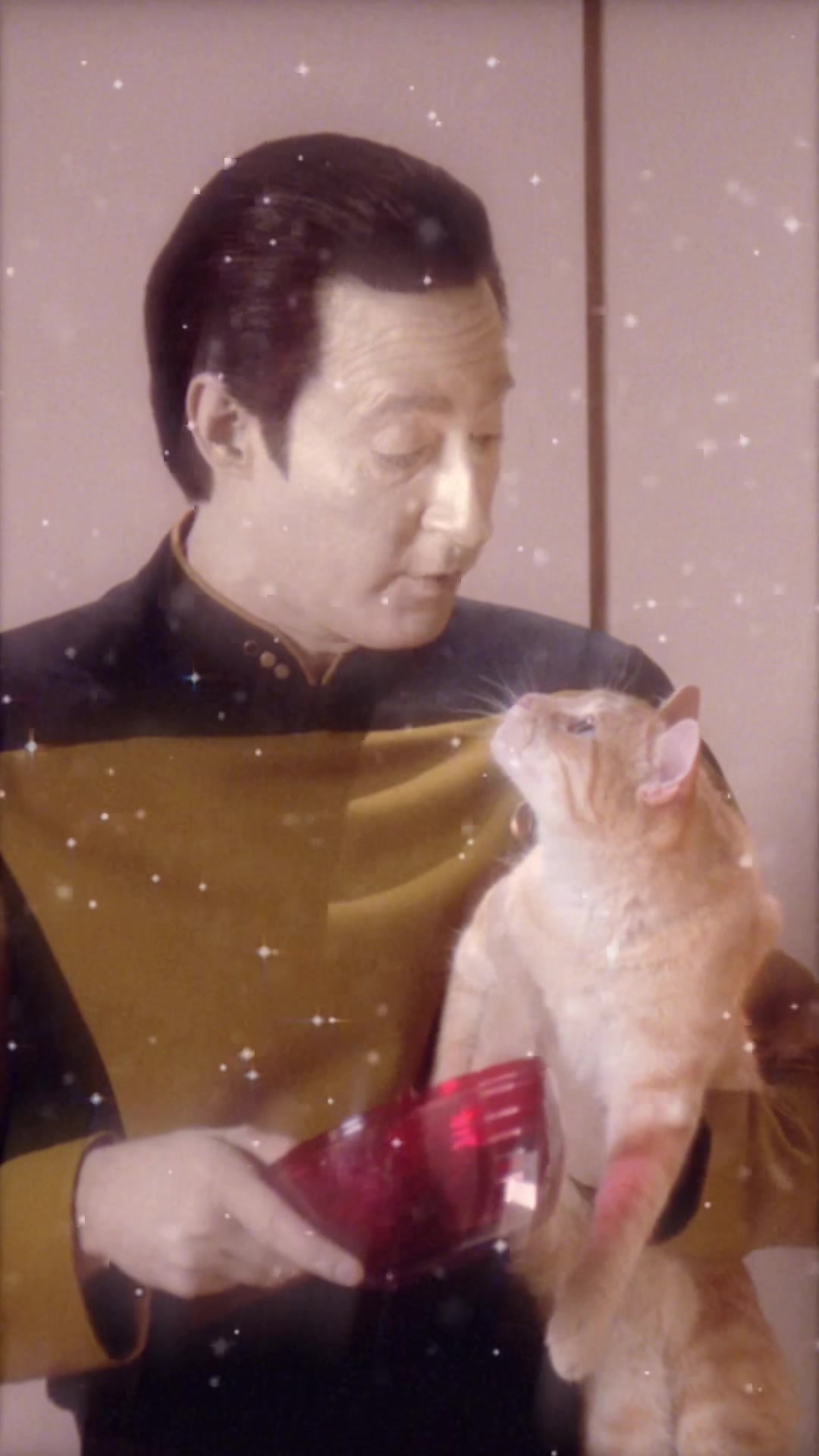 @Star Trek