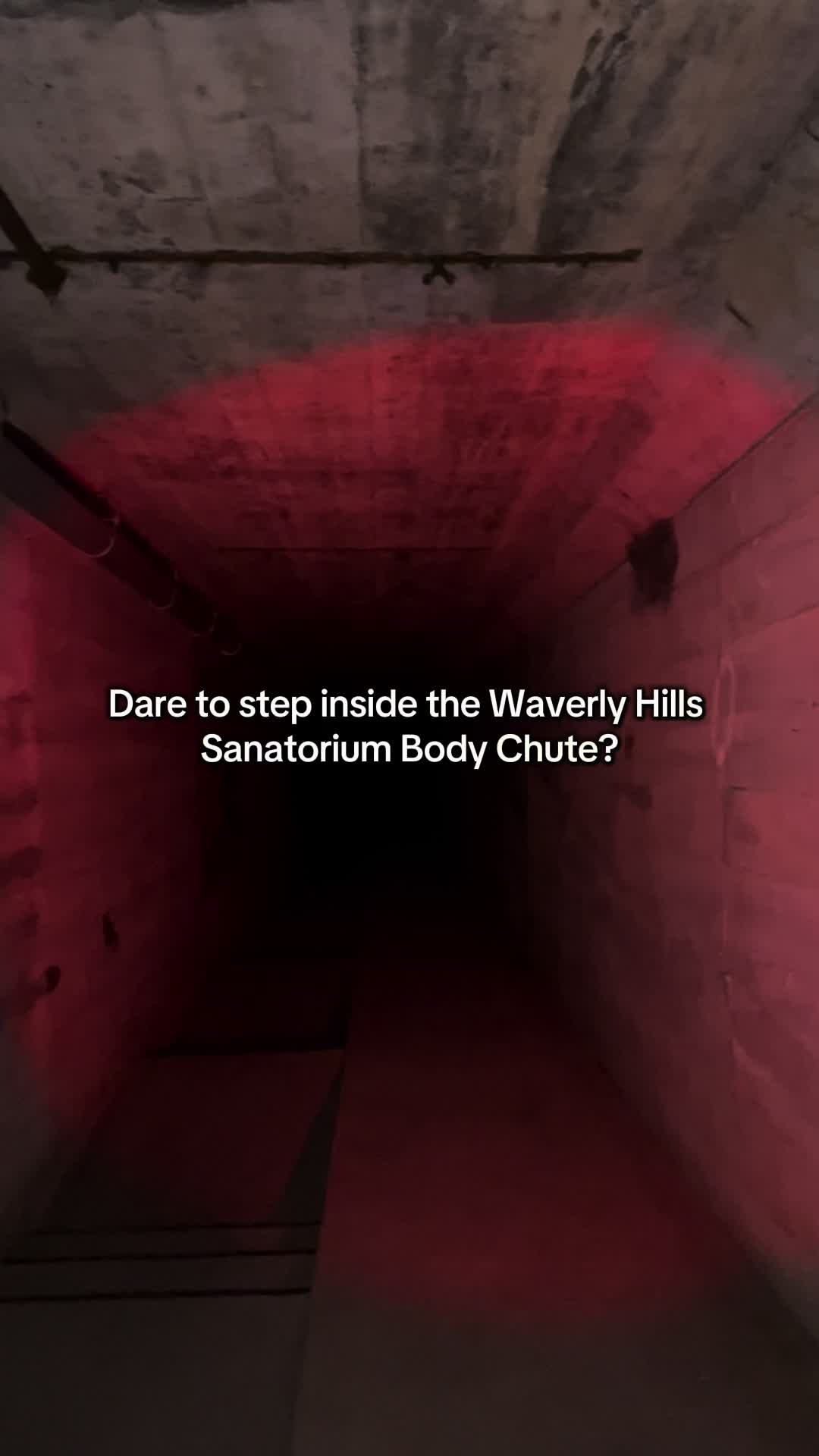 @The Ghoul Guide