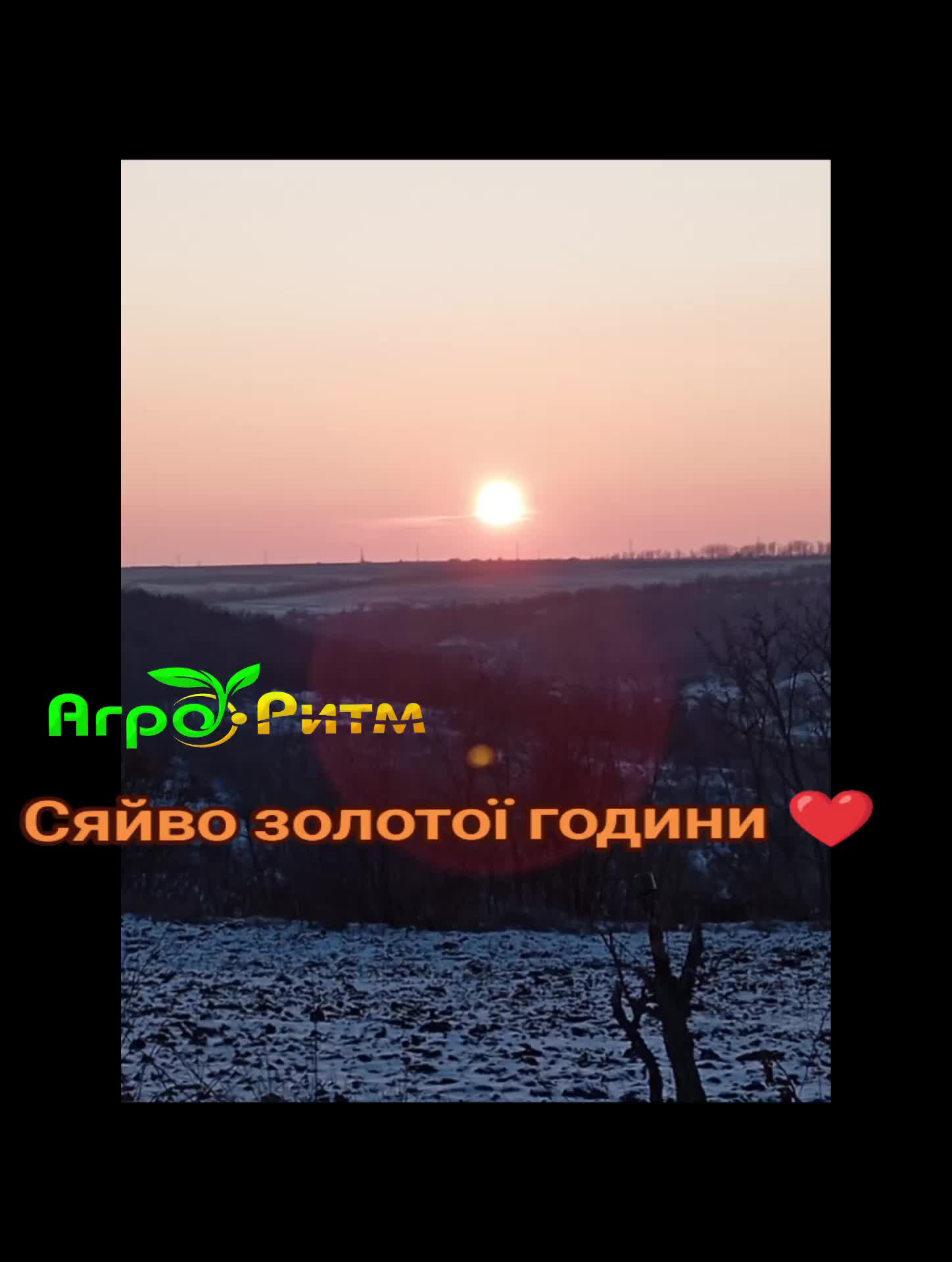 @Анна Плешко 🌻🌽АГРО-РИТМ 🌽🌻