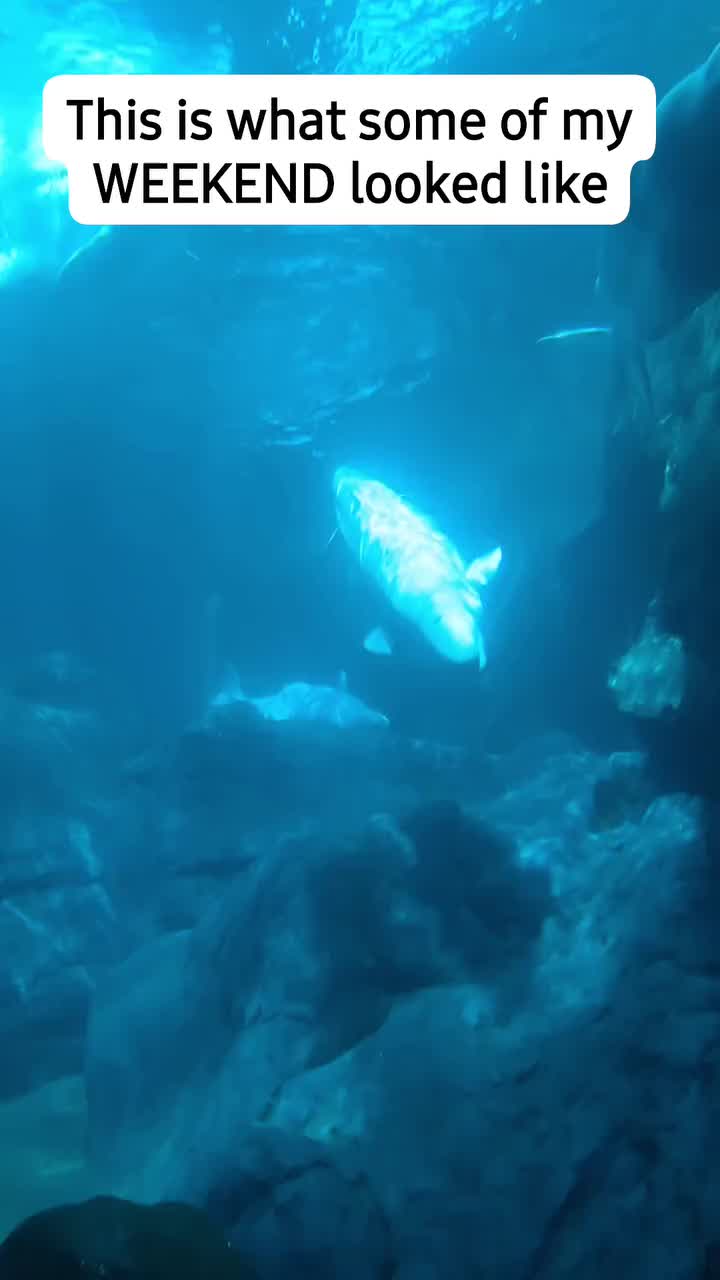 @FINALLYTHAT♡S.A.H.M♡.
