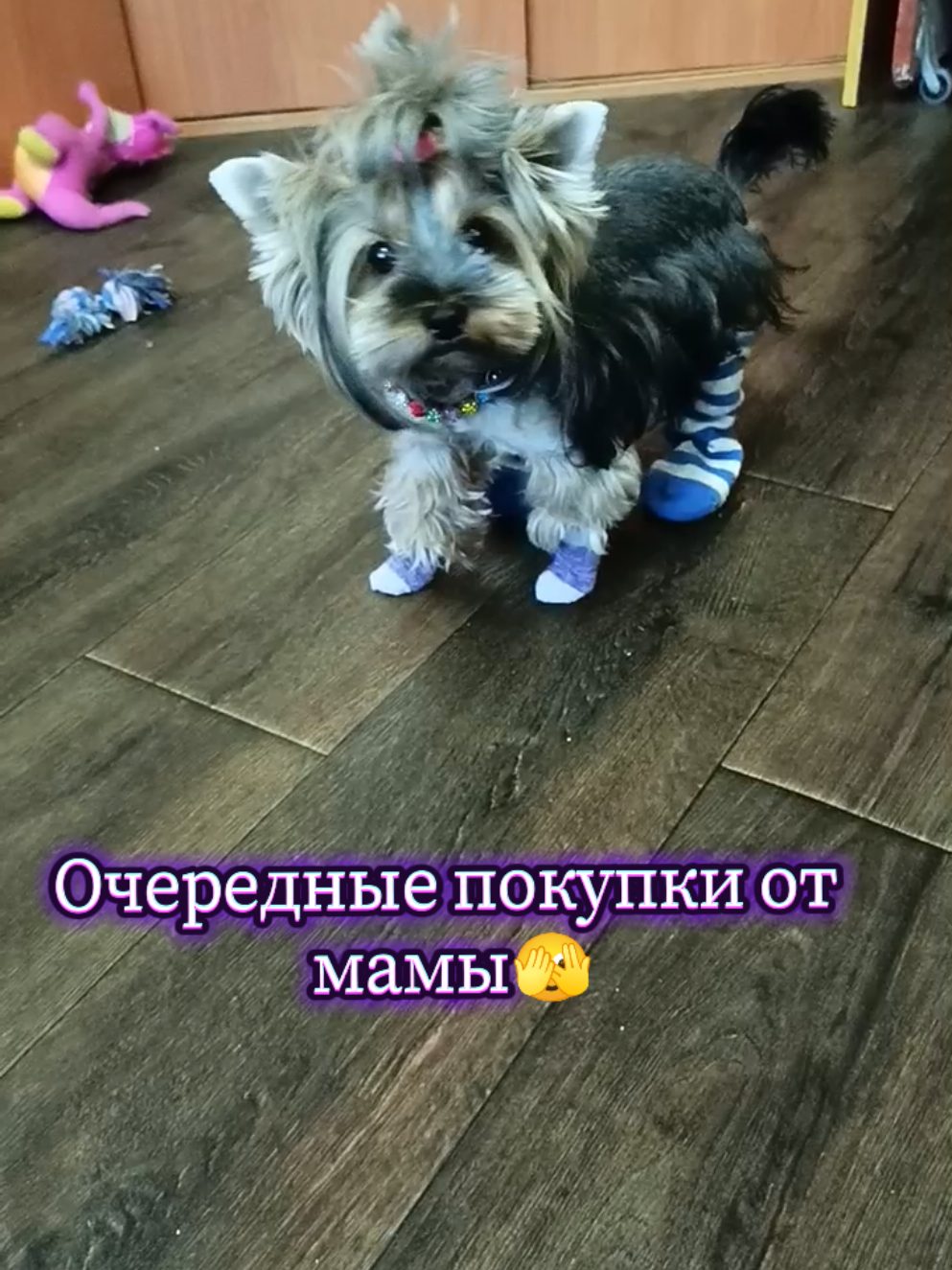 @Соня и Бетти ❤️