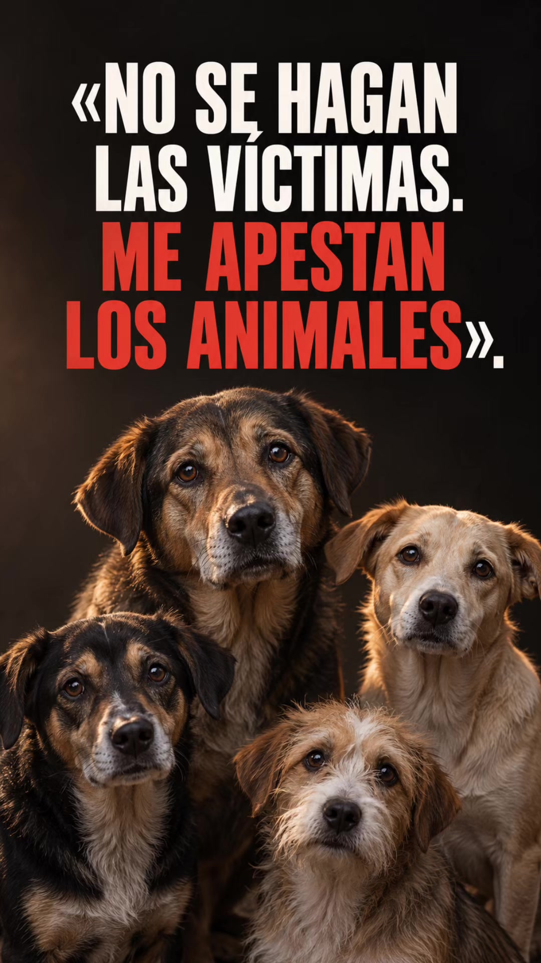 @Amigoscaninos_Ambato