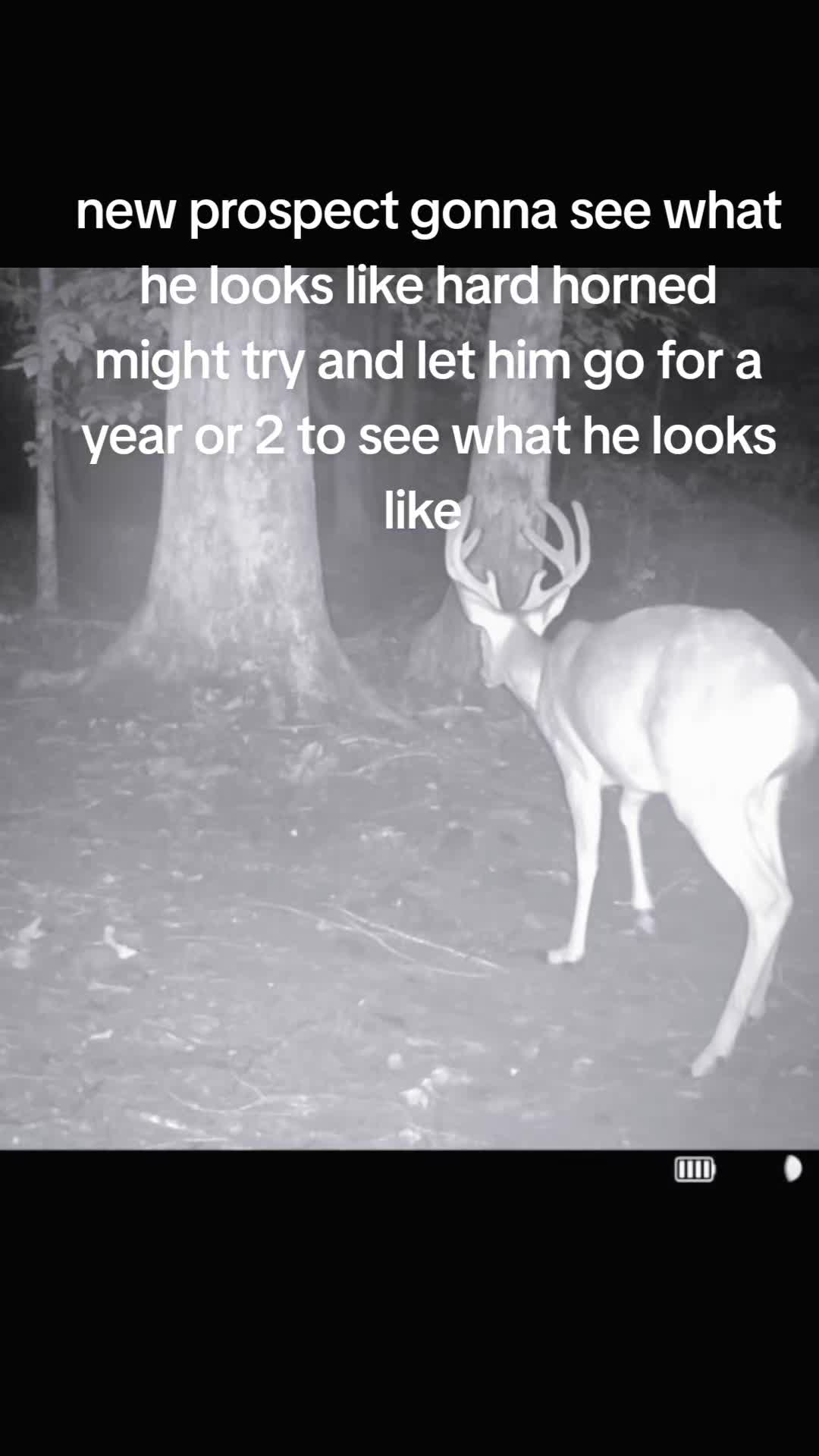@JR