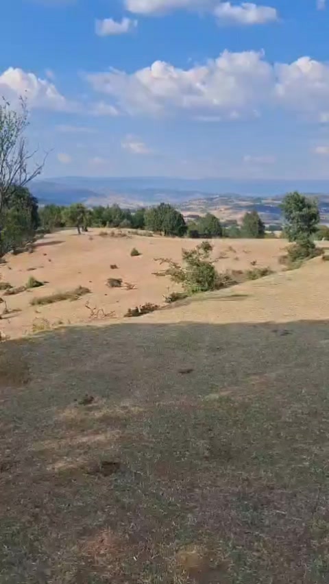 @🇦🇱(adem)🇦🇱