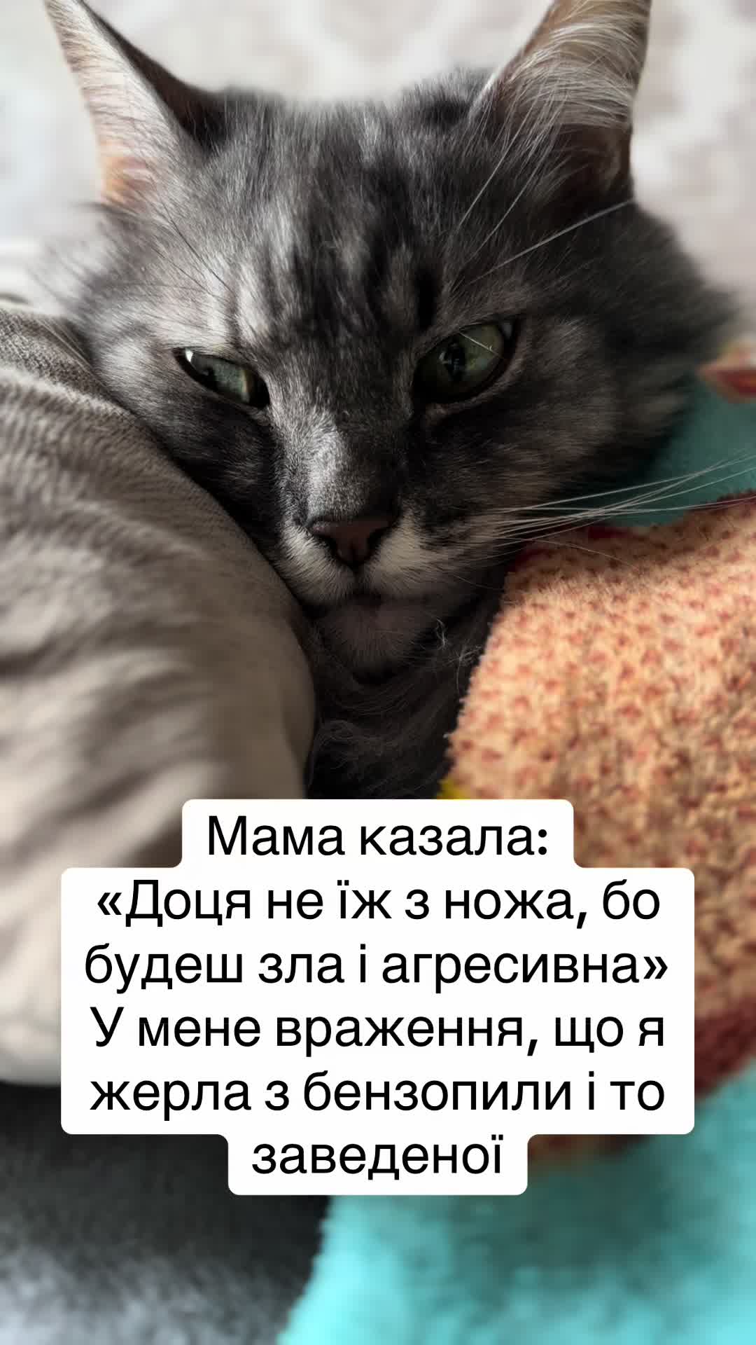 @timka.kit