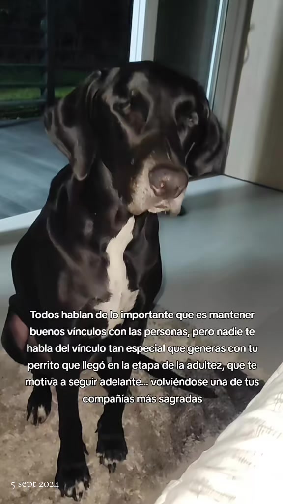 @YOGUI