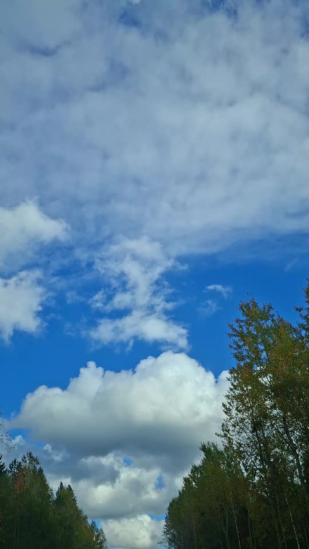 @Ольга