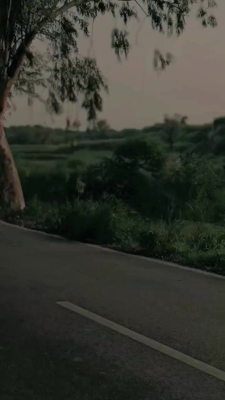 @𝗣𝗘𝗘𝗧𝗘𝗥 🍂༄.°