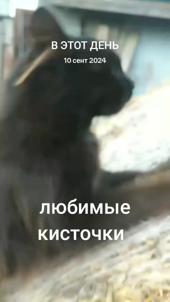 @Юрик