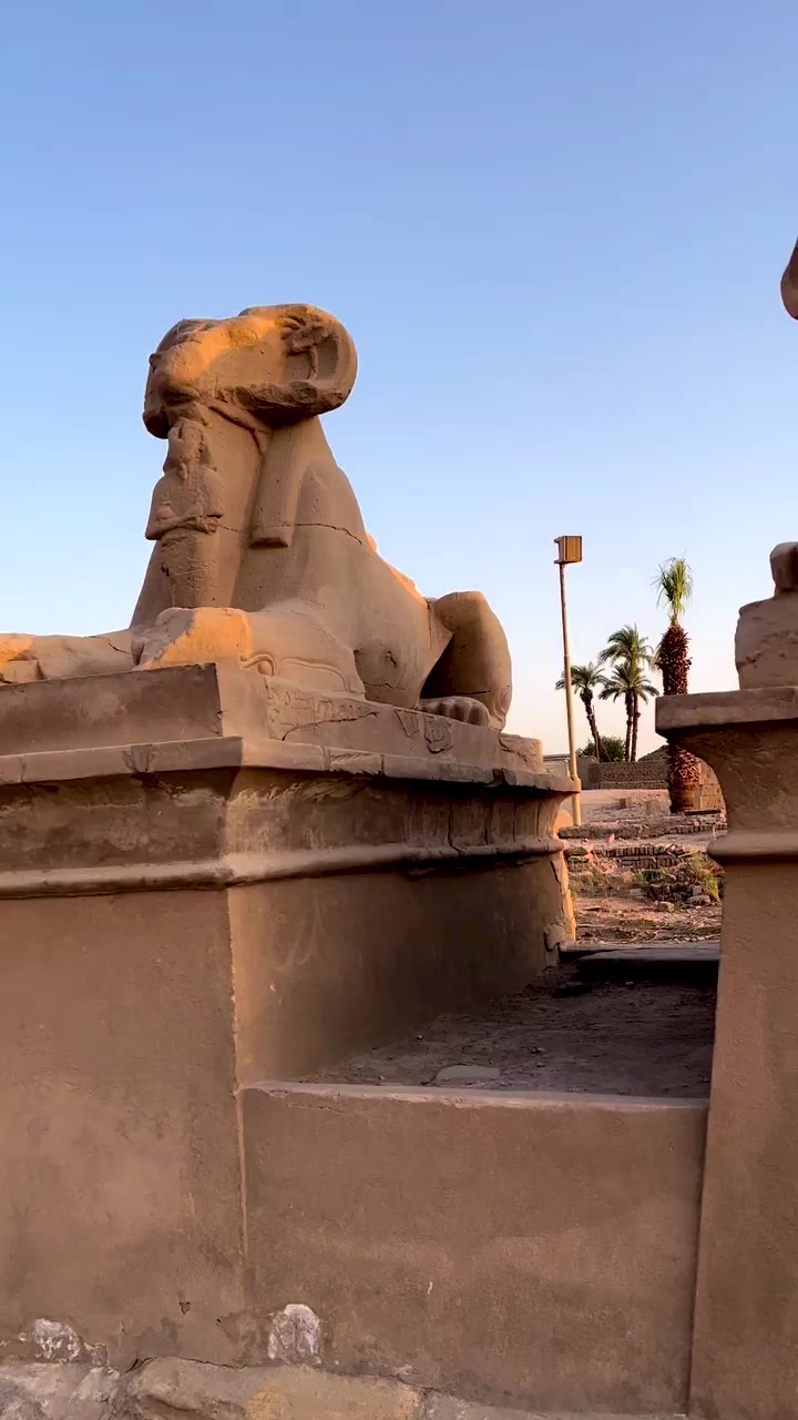 @Luxor guide. Mahmoud