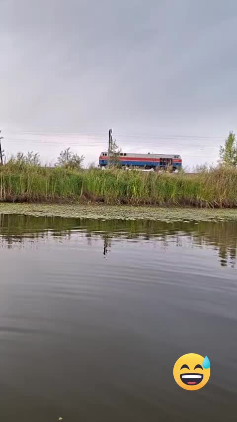 @Виолетта