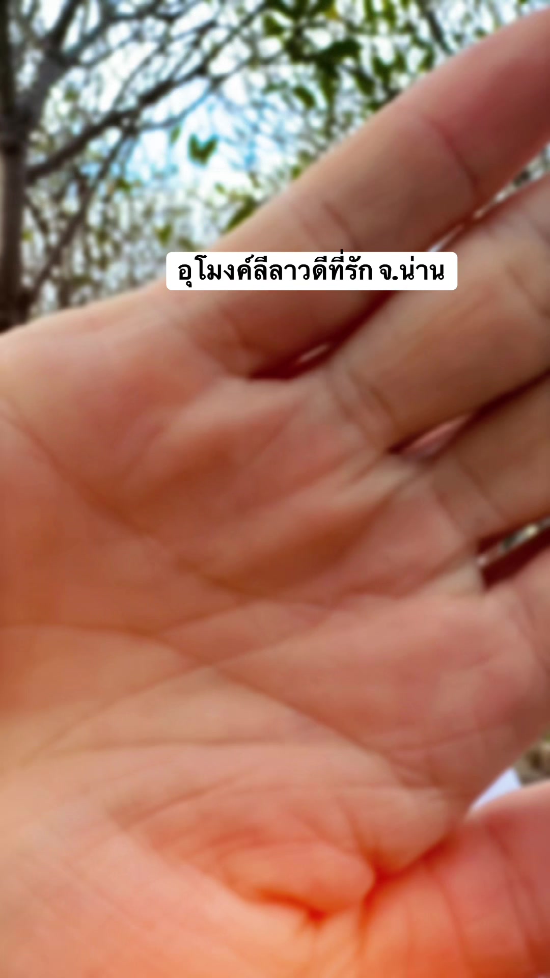 @Dontree.P 🌻🤍
