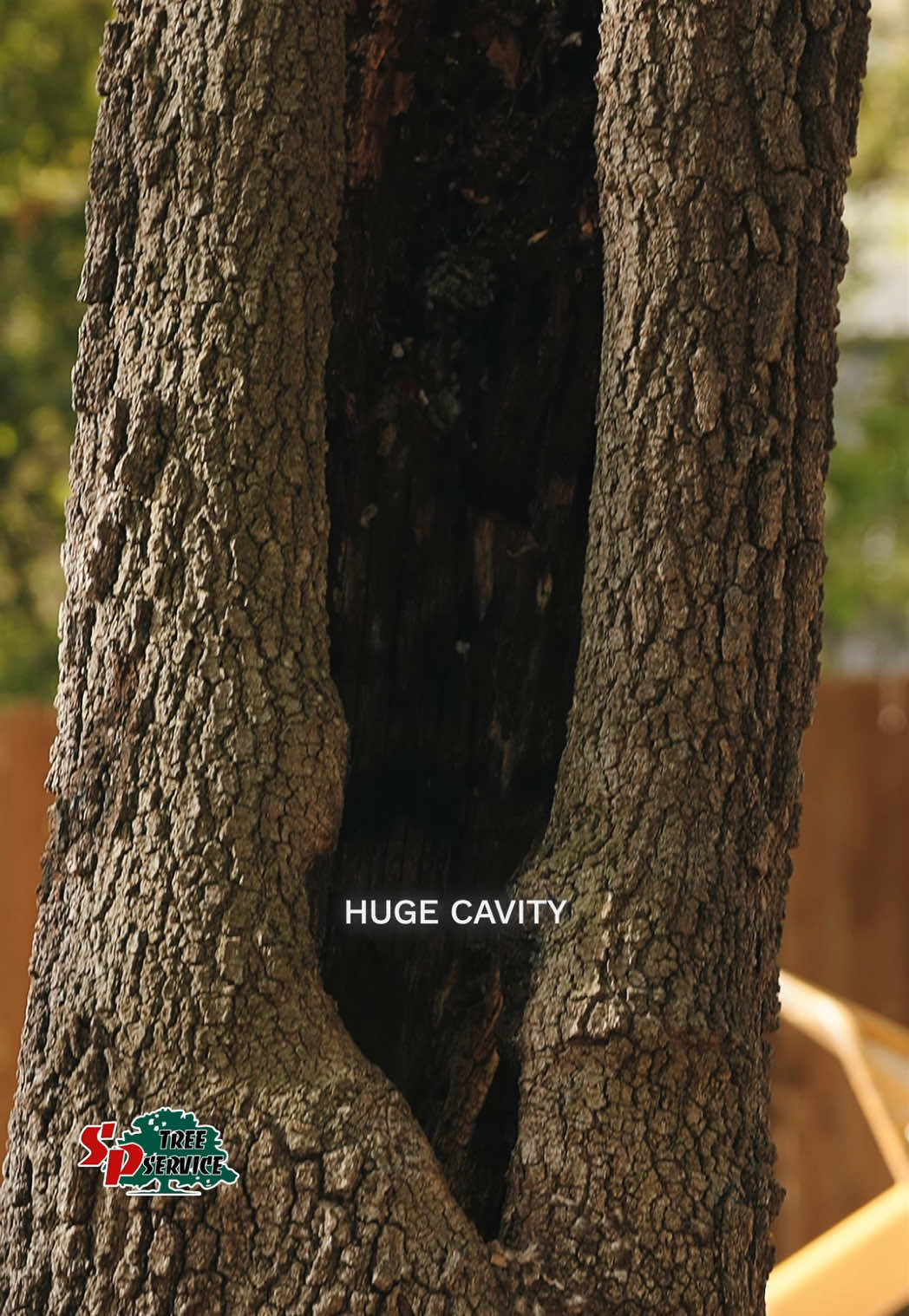 @SPTreeService