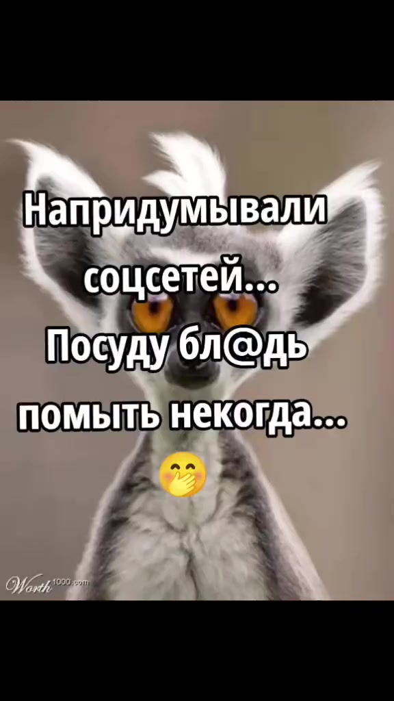 @natusik
