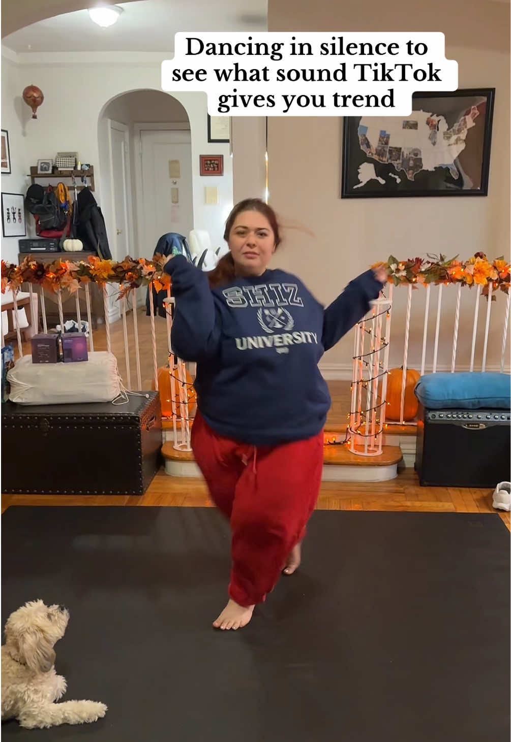 @Dani
