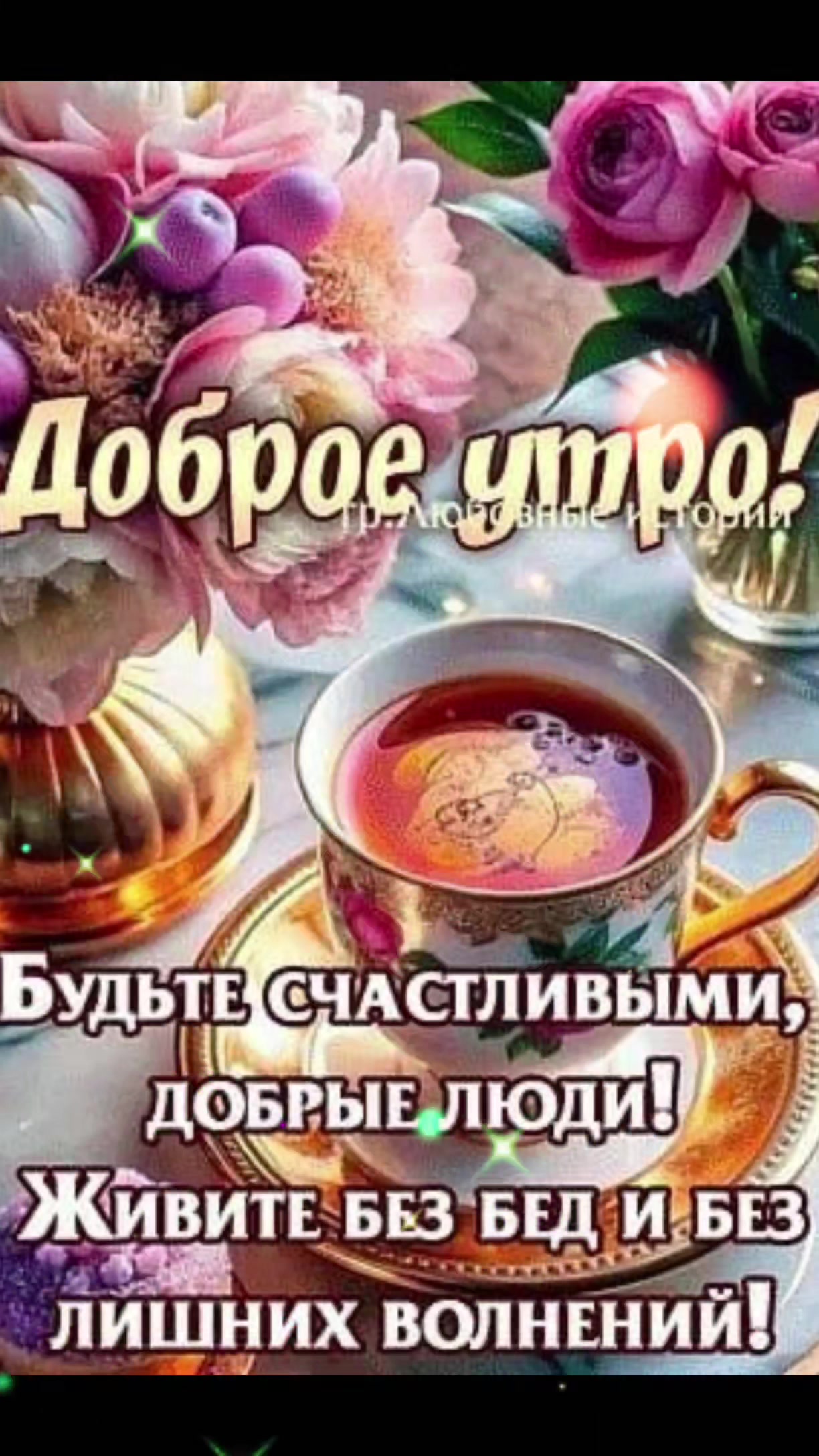 @nadezhdasvet1