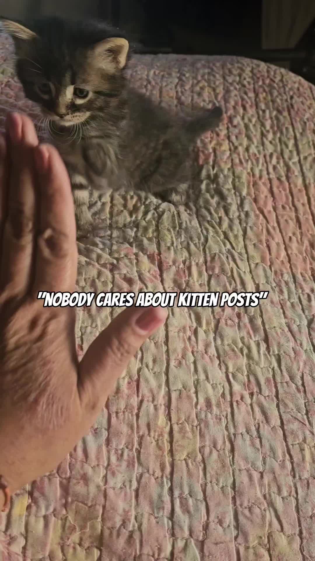 @Sonia&Rosieroo&hearts;️🐾