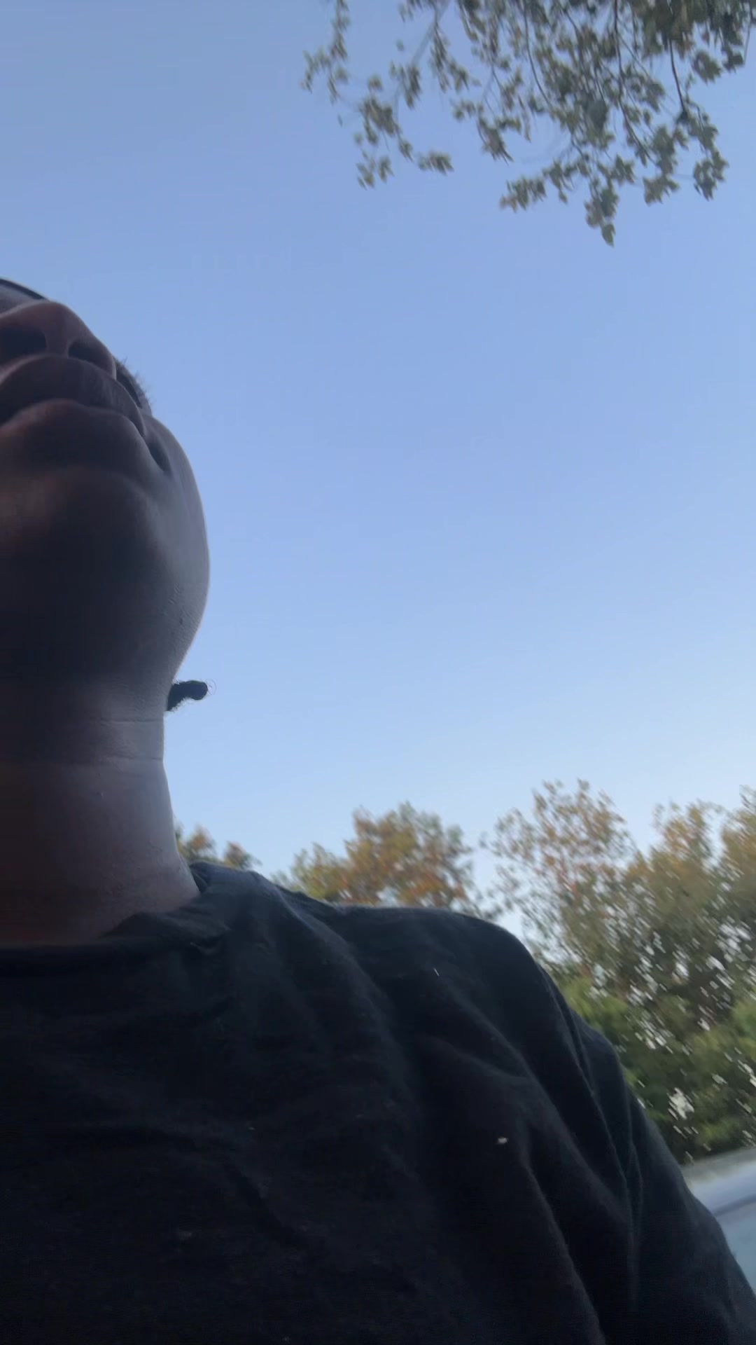 @deezo