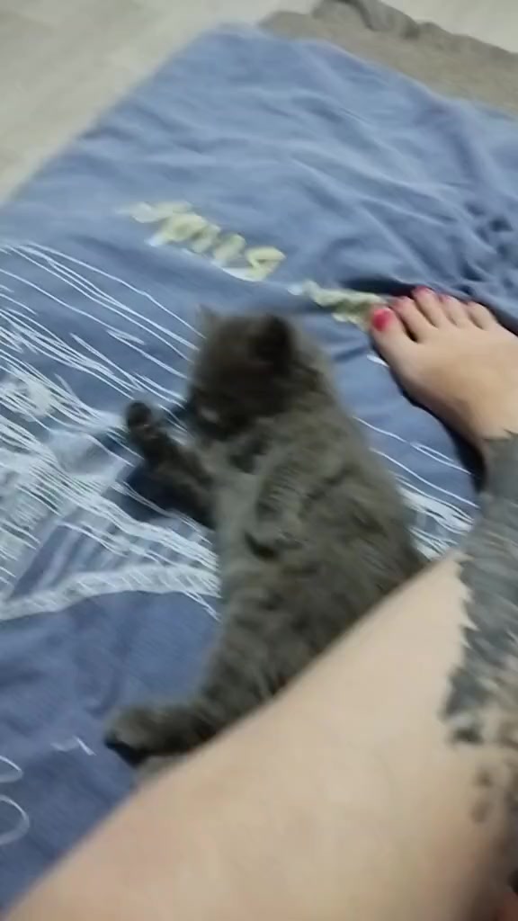 @Оле4ка