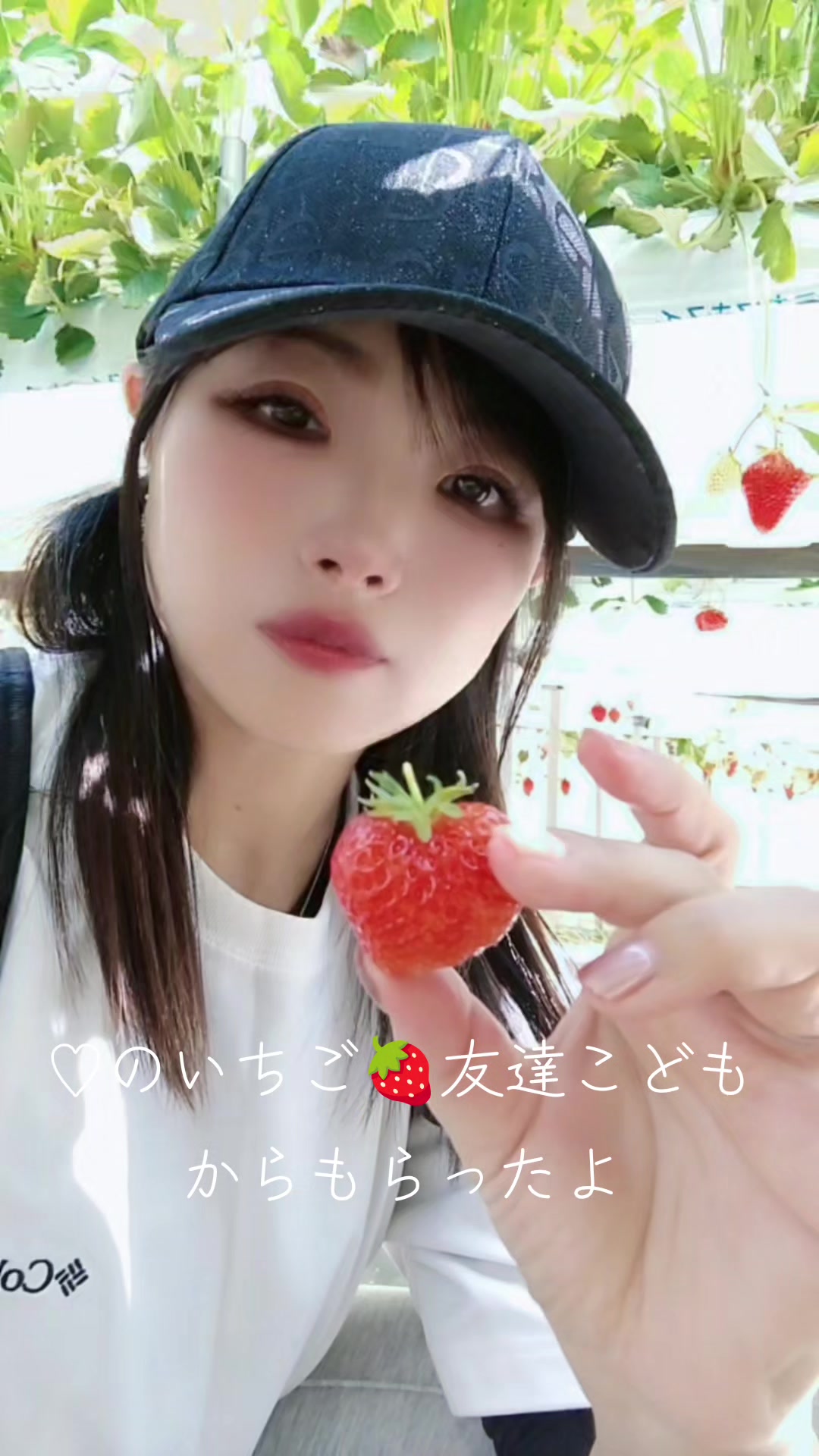 @hito侍🎯🐯野沢菜ちゃん🍀🐯🐬🌼🏝️