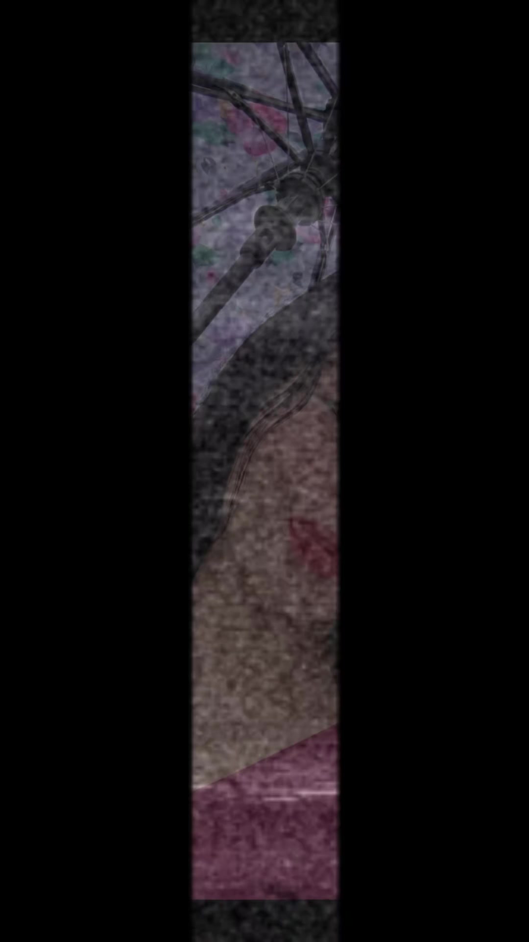 @๐ฑ๐๐๐๐๐ฆ