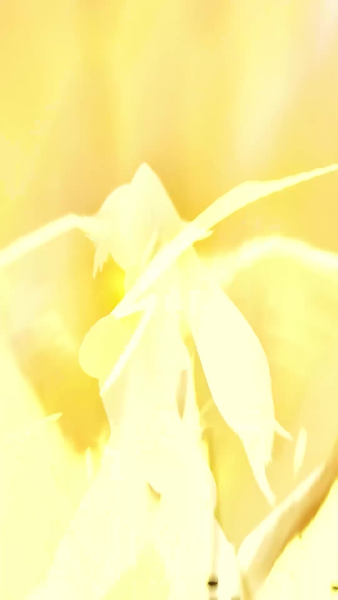 @Fortnite Official